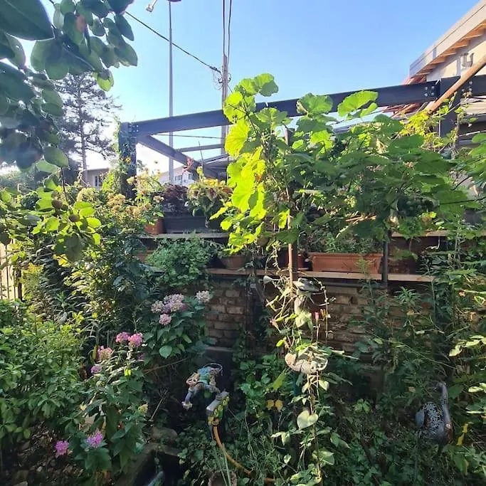 Mansarda Boema, Gradina De Basm Villa Bucharest