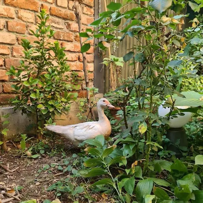 Mansarda Boema, Gradina De Basm Villa Bucharest