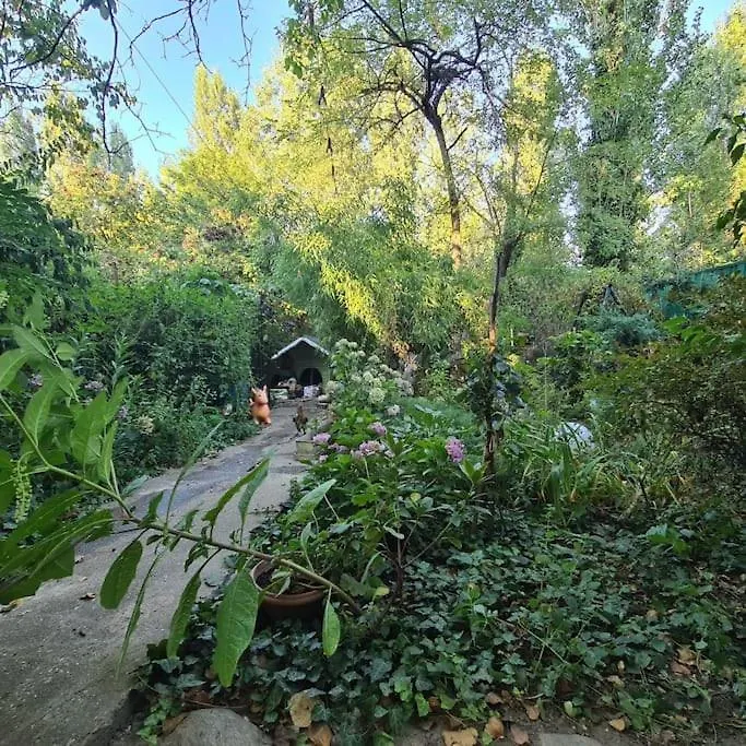 Mansarda Boema, Gradina De Basm Villa Bucharest 0*,