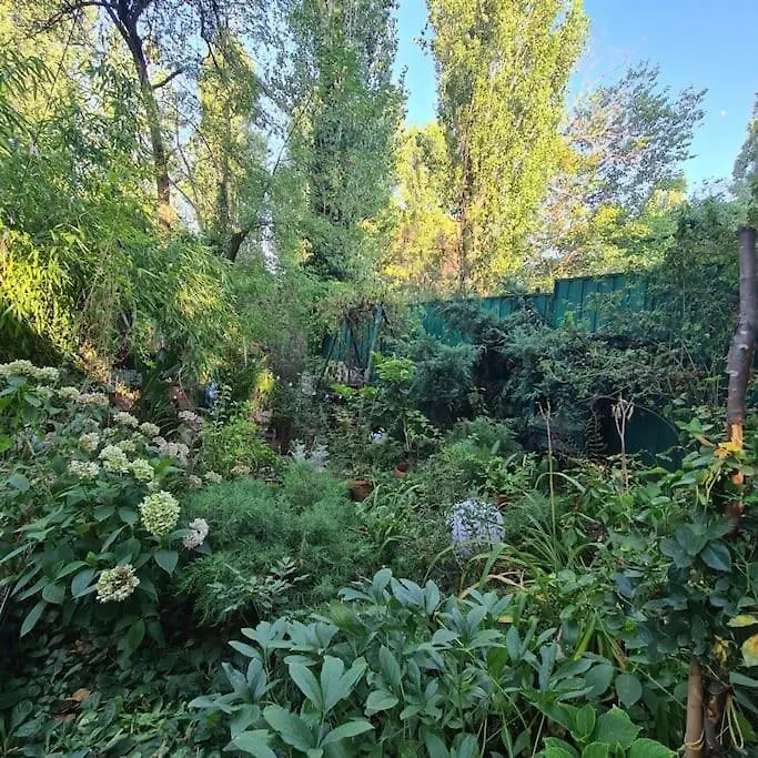 Holiday home Mansarda Boema, Gradina De Basm Villa Bucharest