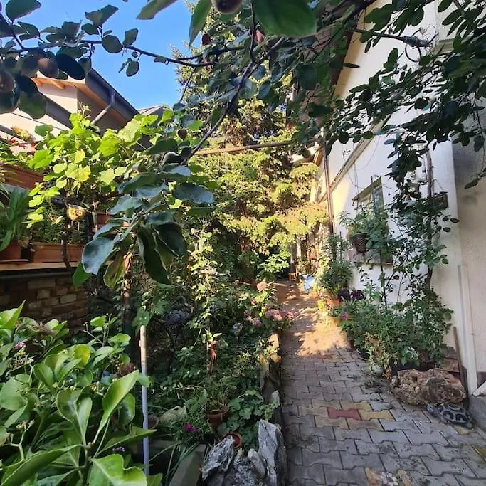 Mansarda Boema, Gradina De Basm Villa Bucharest 0*,  Romania