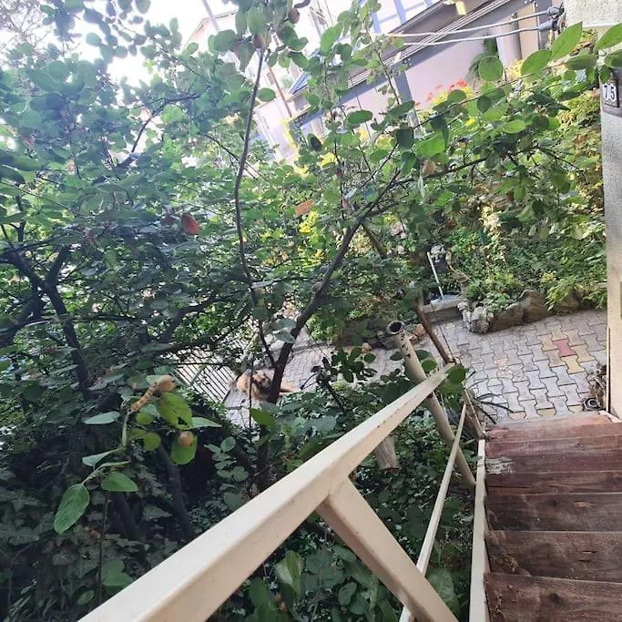 Mansarda Boema, Gradina De Basm Villa Bucharest Holiday home