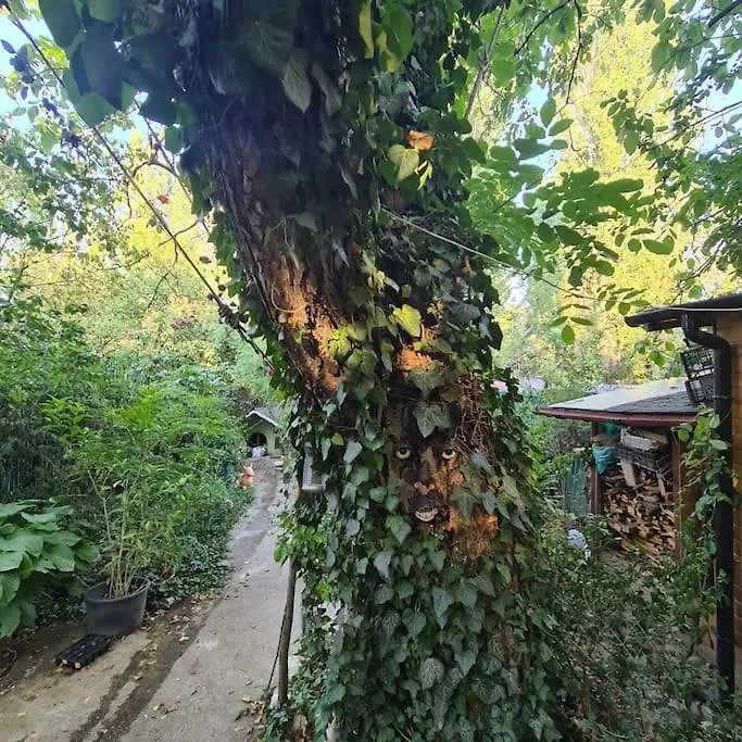 Willa Mansarda Boema, Gradina De Basm Bukareszt